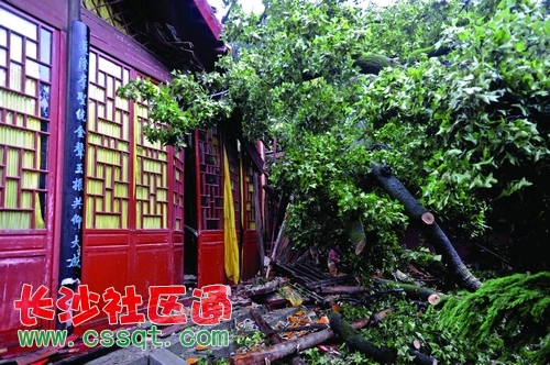 huangj1408745_nEO_IMG.jpg